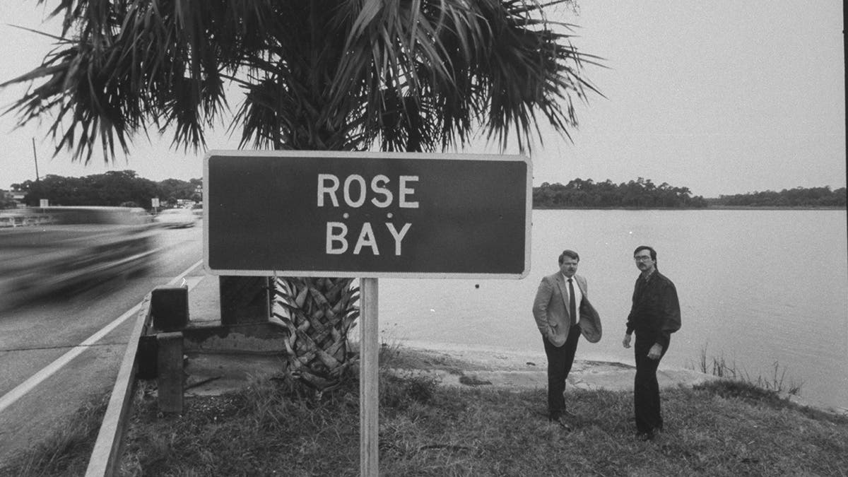 An aerial view of Rose Bay.