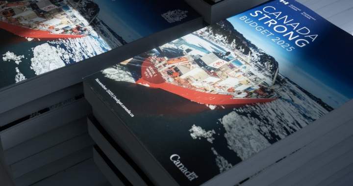 Saskatchewan industries welcome federal budget with unanswered questions Saskatchewan industries welcome federal budget with unanswered questions