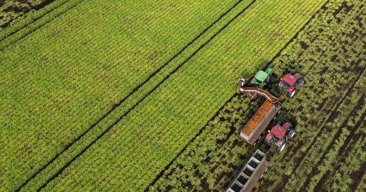 Food sovereignty on menu as farmers from across Canada gather in New Brunswick Food sovereignty on menu as farmers from across Canada gather in New Brunswick