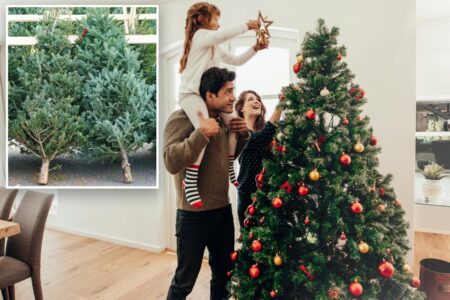 Americans claim this is the ‘best time’ to put up Christmas tree, sparking debate