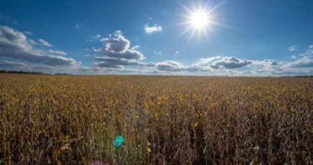 Saskatchewan farming group raises concerns over foreign land ownership