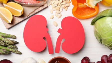 Your Kidneys Are Small but Powerful Organs. These 13 Superfoods Can Give Them a Boost