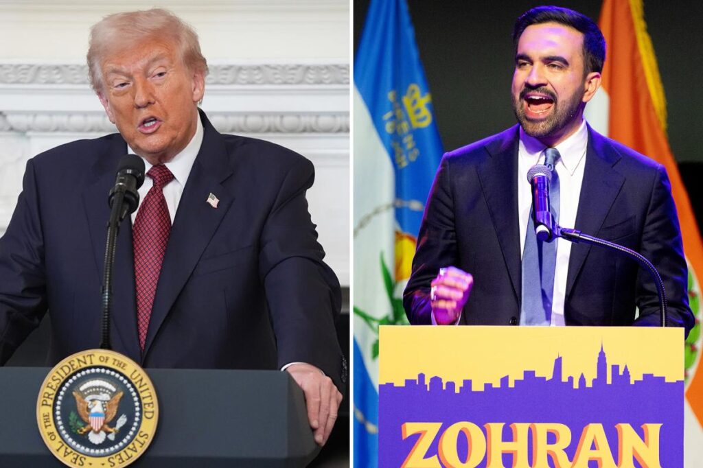 Socialist NYC Mayor-elect Zohran Mamdani fires shots at President Trump, threatens he will ‘utilize the courts’ Socialist NYC Mayor-elect Zohran Mamdani fires shots at President Trump, threatens he will ‘utilize the courts’