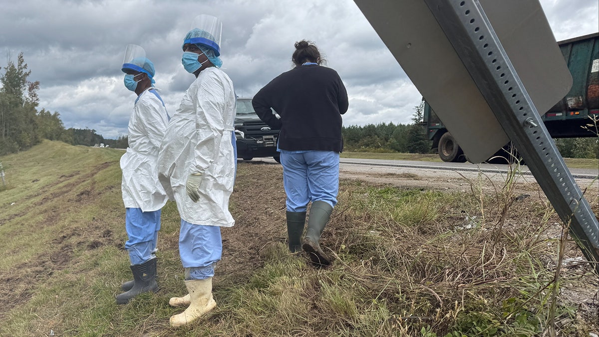People wearing protective clothing search along a highway in Heidelberg, Miss., on Wednesday, Oct. 29, 2025, near the site of an overturned truck that was carrying research monkeys.