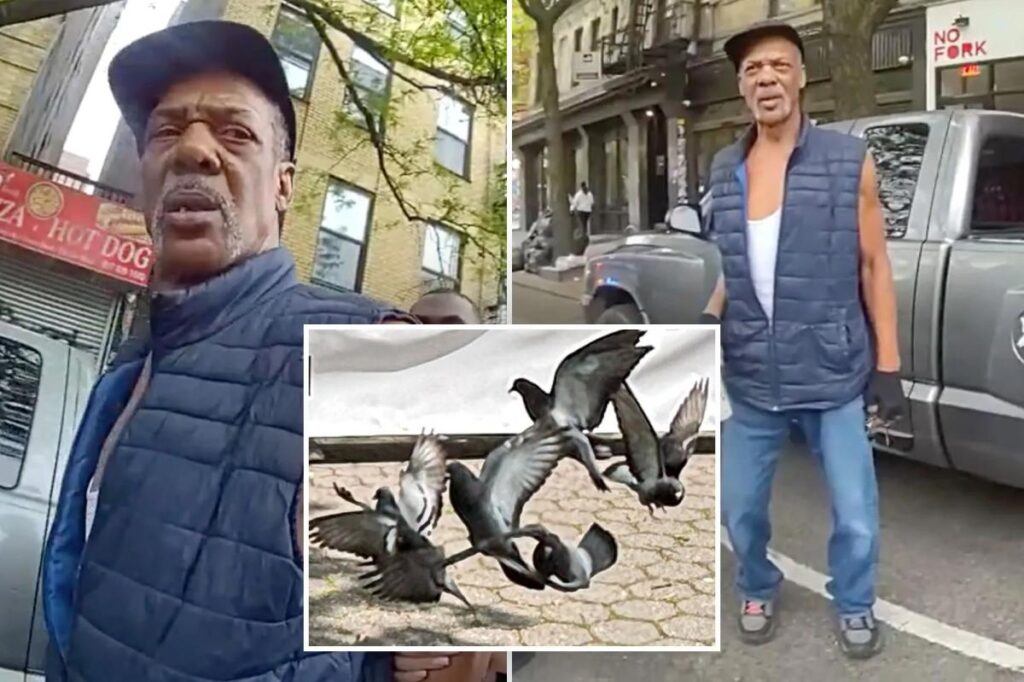 Exclusive | Pigeon poacher accused of kidnapping ‘New Yorkers’ to sell for shooting practice is free as a bird Exclusive | Pigeon poacher accused of kidnapping ‘New Yorkers’ to sell for shooting practice is free as a bird