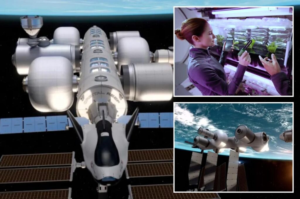 Jeff Bezos wants to send people to live in space — here’s what it would look like Jeff Bezos wants to send people to live in space — here’s what it would look like