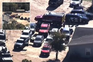 Three landscape supply employees gunned down in Texas shooting, police say