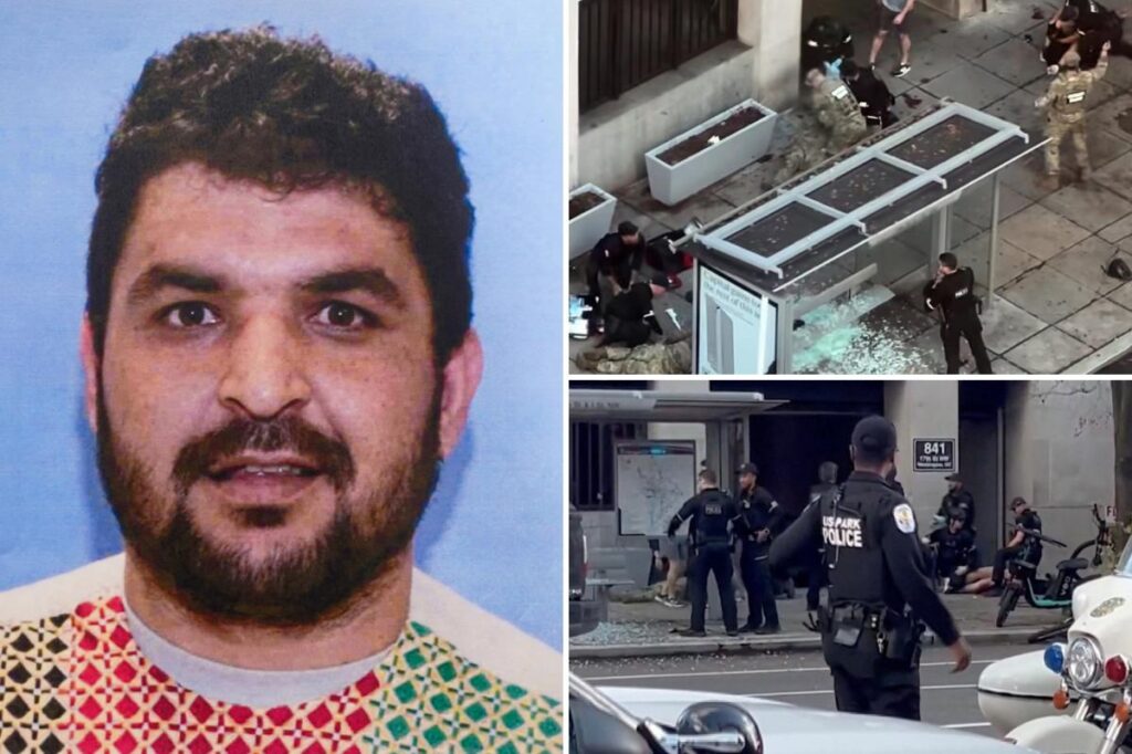 Top Trump intel official reveals DC terror suspect wasn’t vetted for entry to US Top Trump intel official reveals DC terror suspect wasn’t vetted for entry to US