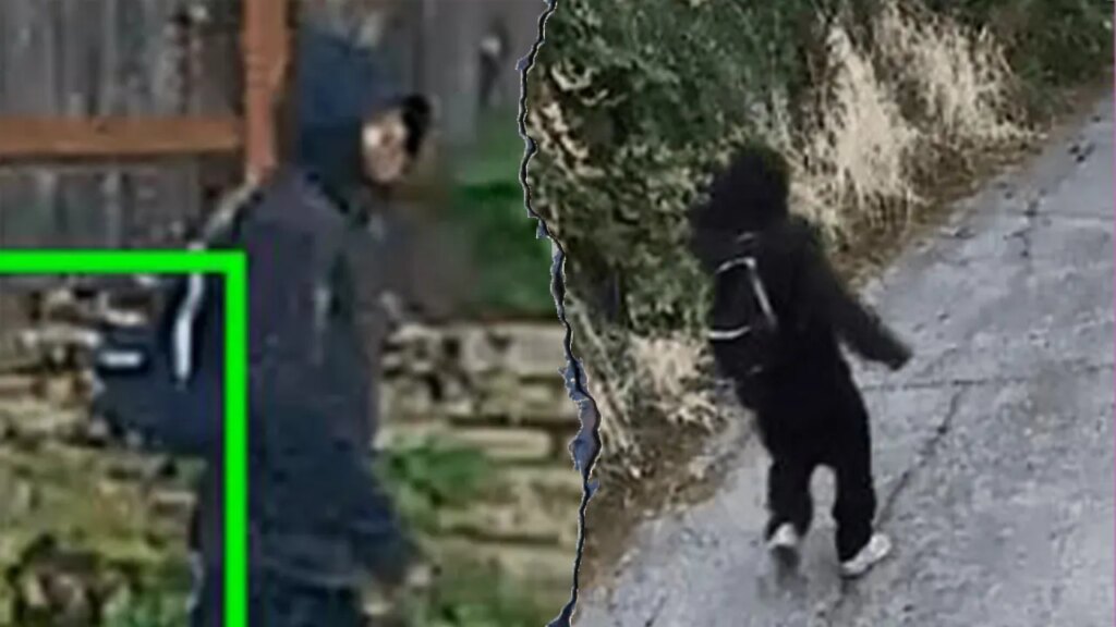 Seattle robber bites off 88-year-old woman’s finger during violent robbery, police say Seattle robber bites off 88-year-old woman’s finger during violent robbery, police say