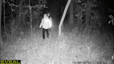 Masked thieves in South American crime ring loot American homes in coordinated pattern, police warn