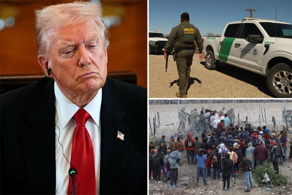 No illegal migrants were released into US during last six months, Trump declares No illegal migrants were released into US during last six months, Trump declares