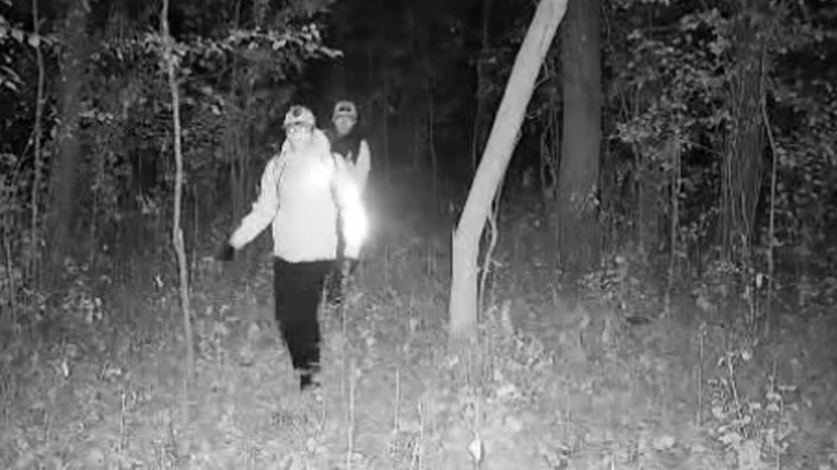 Deer cam footage of Wisconsin thieves