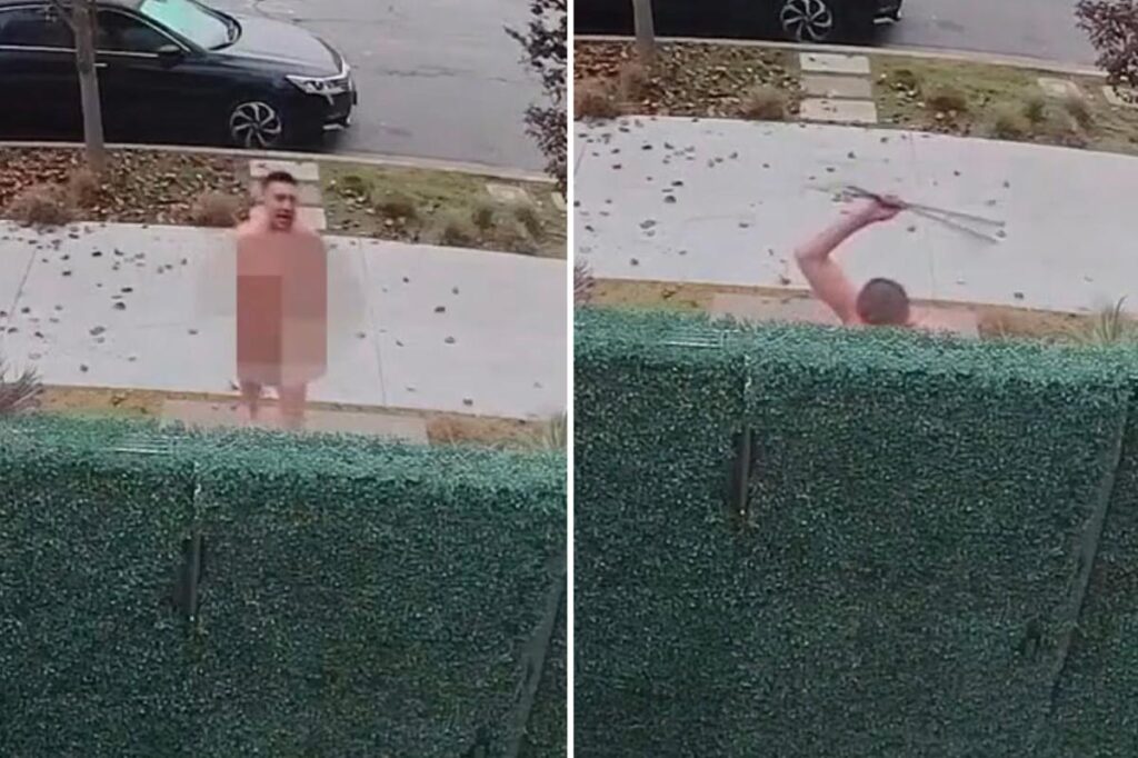 Naked madman breaks Vietnam veterans’ legs, but victim ends attack with 3 gunshots: video