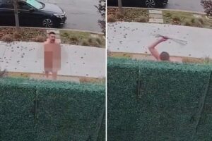 Naked madman breaks Vietnam veterans’ legs, but victim ends attack with 3 gunshots: video