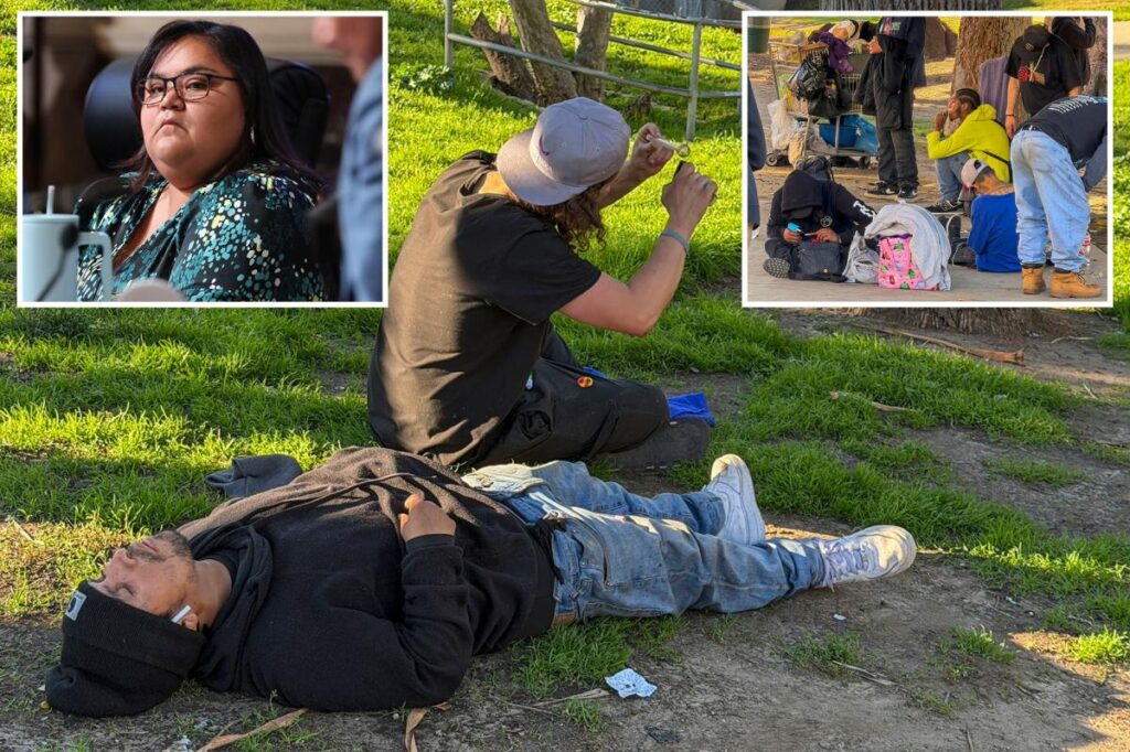 Meet the socialist LA leader making 0K to reign over drug-infested park as it crumbles Meet the socialist LA leader making 0K to reign over drug-infested park as it crumbles