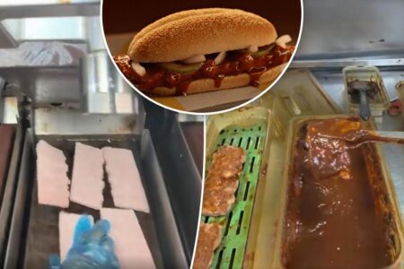 McDonald’s fans both hungry and horrified after worker exposes how the McRib sandwich is made: ‘McHell naw’ 