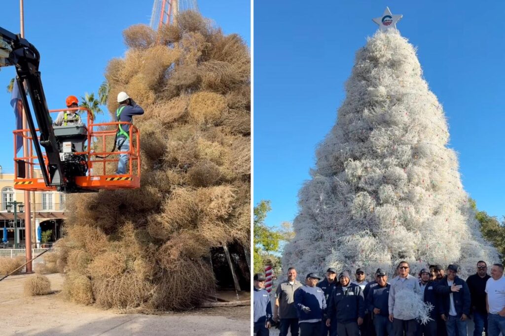 Christmas in this Arizona town comes with tumbleweeds — not evergreens: ‘We are extremely proud of our tree’ Christmas in this Arizona town comes with tumbleweeds — not evergreens: ‘We are extremely proud of our tree’