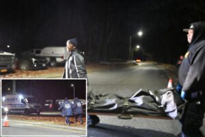 Human remains discovered at Van Cortlandt Park in Bronx: cops