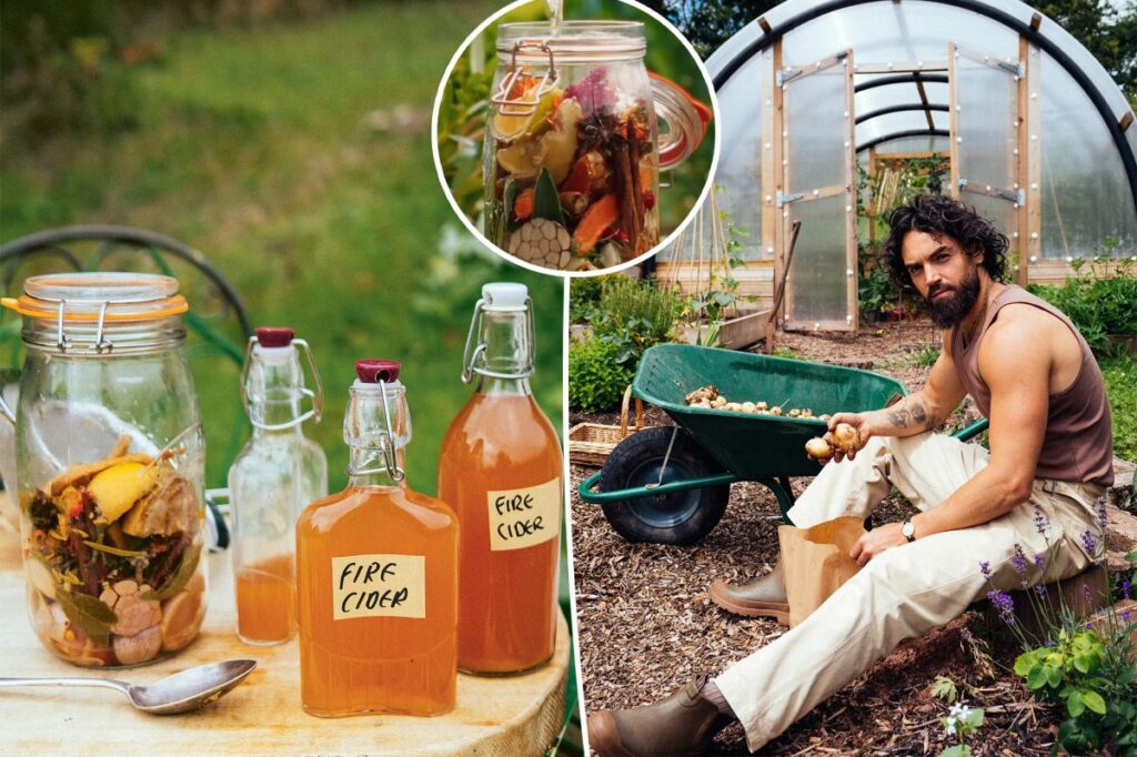 Celebrity chef shares ‘age-old’ fire cider recipe that ‘gives you a protective shield’ of immunity — especially in winter Celebrity chef shares ‘age-old’ fire cider recipe that ‘gives you a protective shield’ of immunity — especially in winter