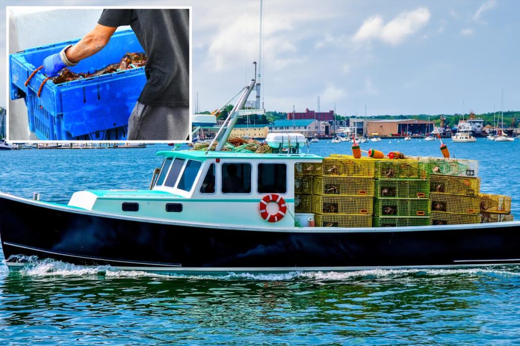 0K shipment of live lobsters hijacked on way to Costco in possible ring of thieves