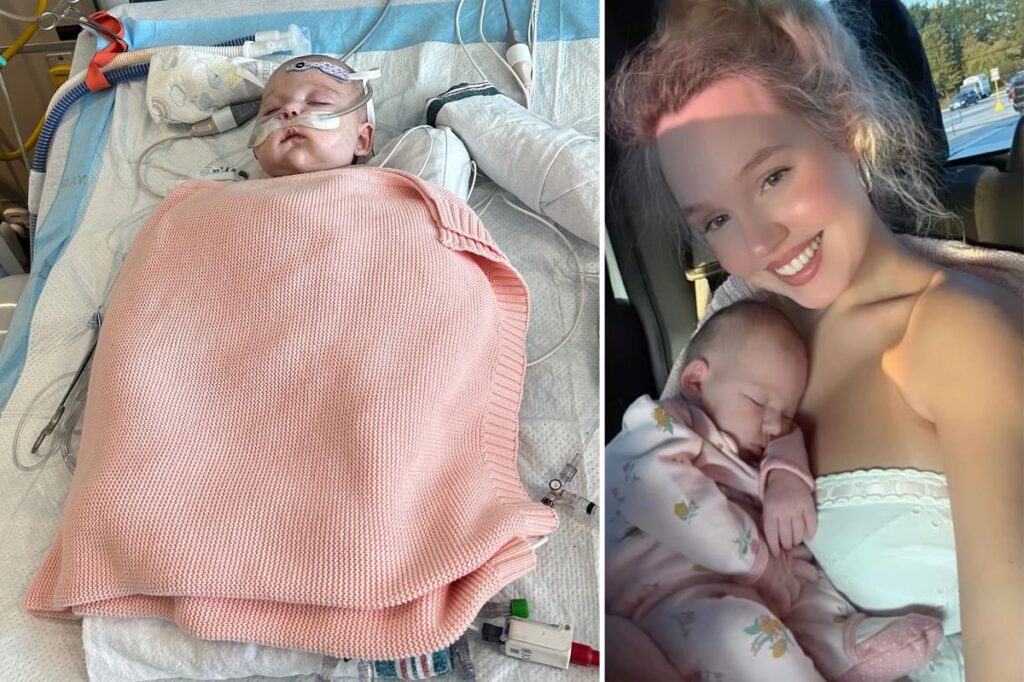 ‘Tradwife’ influencer Estee Williams reveals 3-month-old daughter’s on ‘full life support’ after cardiac arrest
