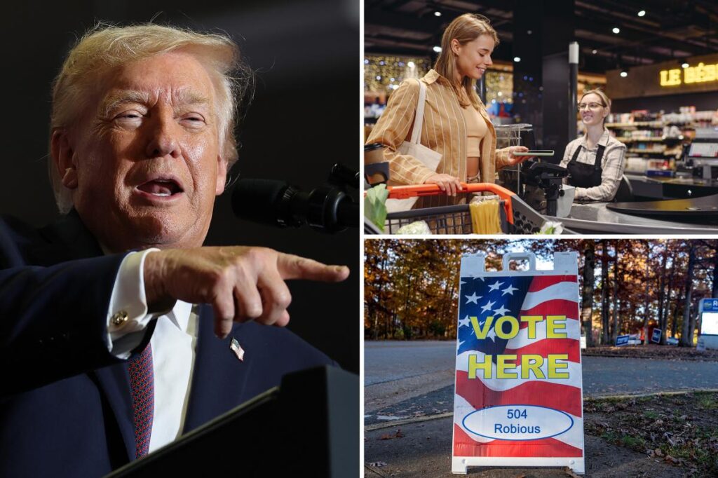 Trump boasts tariffs creating ‘GREAT WEALTH’ as he predicts ‘pricing’ will decide 2026 midterm elections