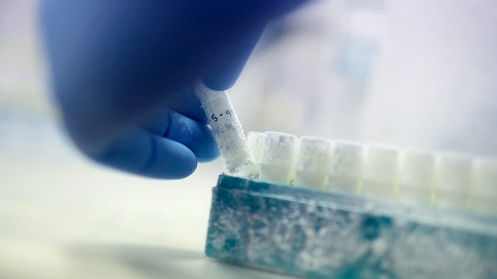 Are sperm banks in Denmark rejecting donors based on their IQ? Are sperm banks in Denmark rejecting donors based on their IQ?