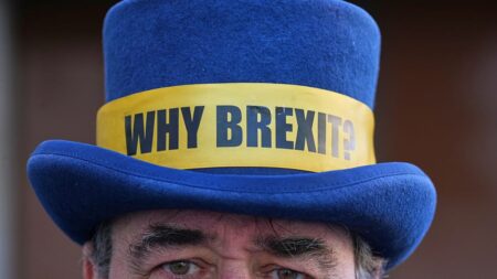 Fact check: How realistic is a bespoke EU-UK customs union?