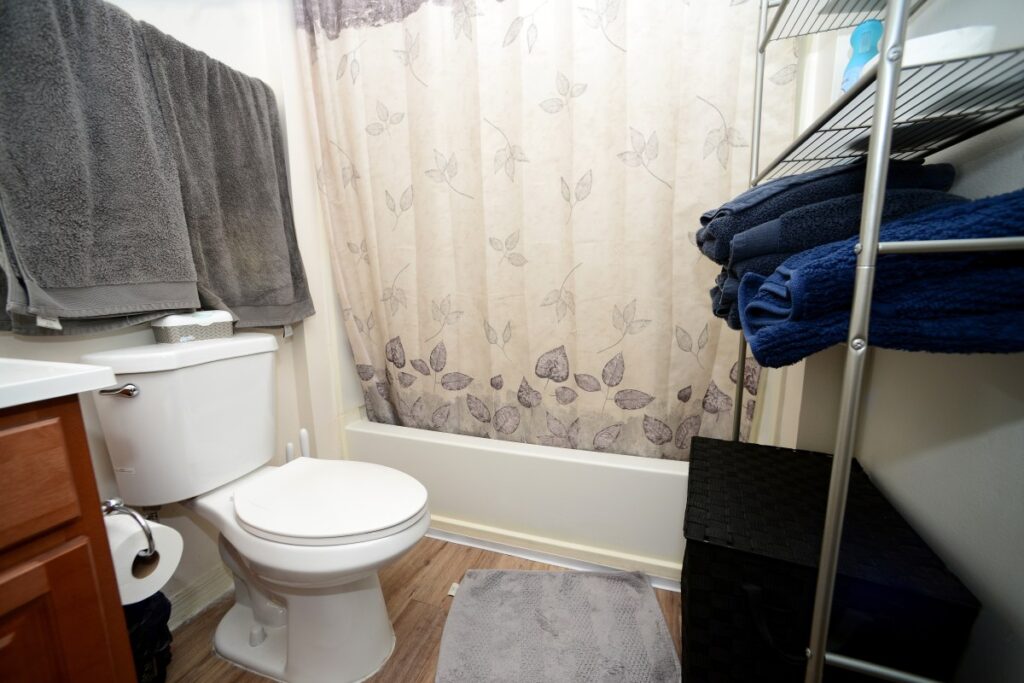 Health Officials Warn of ‘Toilet Rats’ Following Washington Flooding