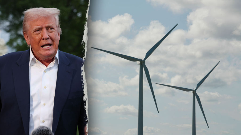 Fox News Politics Newsletter: Trump admin pausing all off shore wind project construction