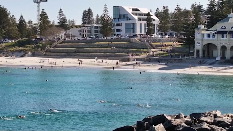 Perth swelters through severe heatwave Perth swelters through severe heatwave