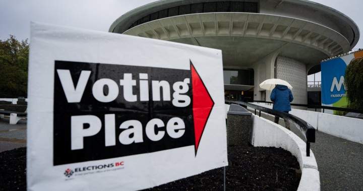 B.C. Conservative candidate ends court challenge of 2024 election loss B.C. Conservative candidate ends court challenge of 2024 election loss