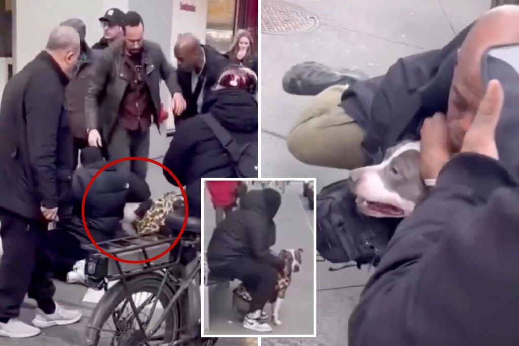 Pit bull attacks 1-year-old on crowded Manhattan street and refuses to let go Pit bull attacks 1-year-old on crowded Manhattan street and refuses to let go