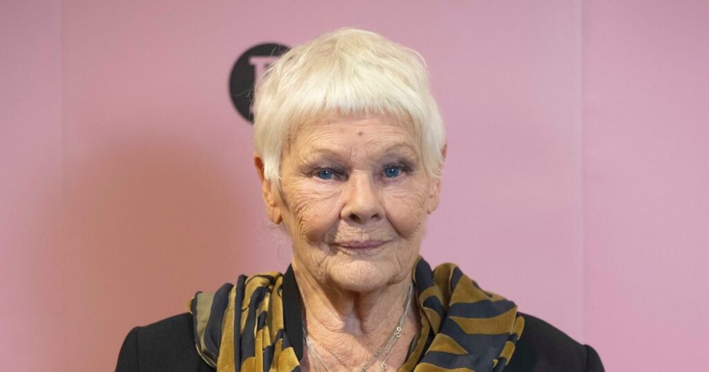 Judi Dench Reveals She ‘Can’t Recognize Anybody’ Amid Candid Vision Loss Update