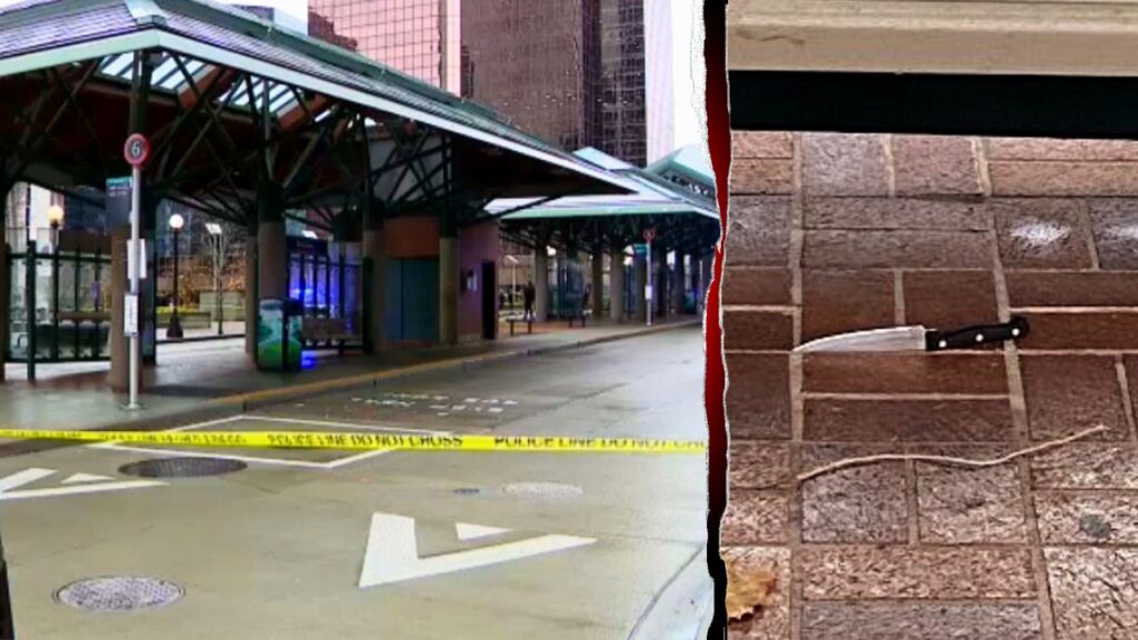 Washington man allegedly lures police with bogus 911 call, slashes officer in face