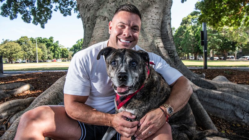 The wellness industry is coming for your cats and dogs The wellness industry is coming for your cats and dogs