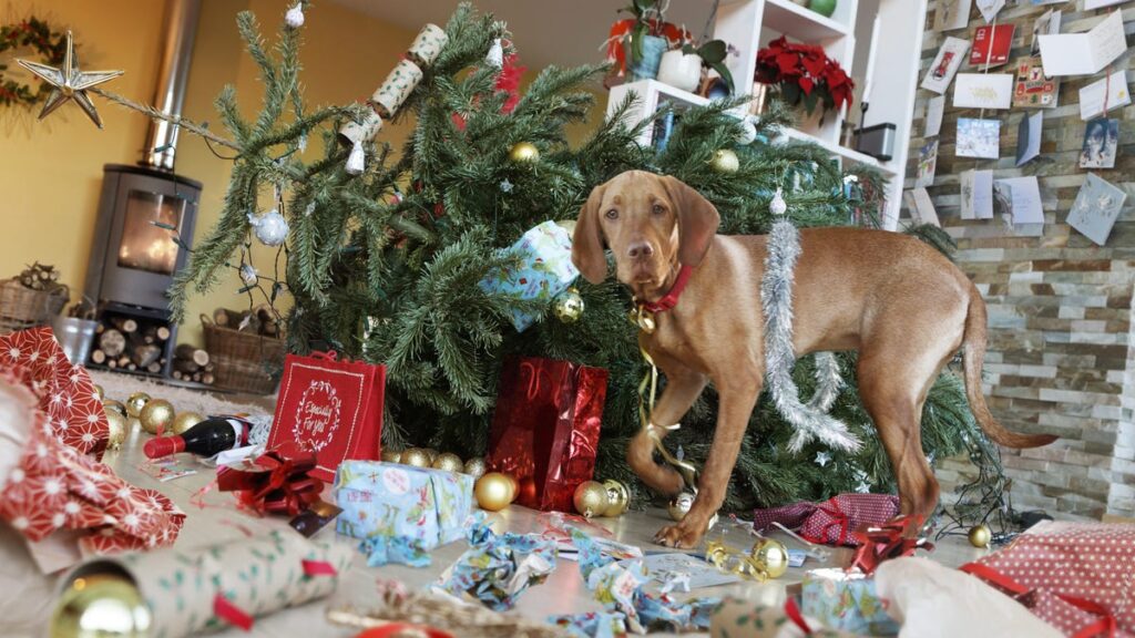 Do Your Dogs Freak Out When They Hear Wham’s Last Christmas? There’s a Reason for That