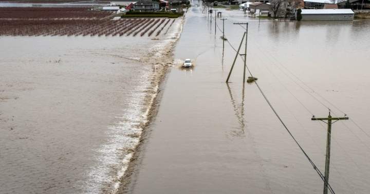 Flooding in Fraser Valley could peak as B.C. prepares for second system Flooding in Fraser Valley could peak as B.C. prepares for second system