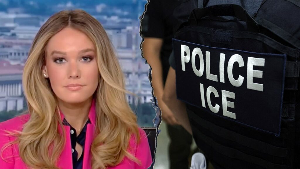 DHS fires back at Senate Dems over ICE detainee death claims: ‘Trying to twist data’ DHS fires back at Senate Dems over ICE detainee death claims: ‘Trying to twist data’