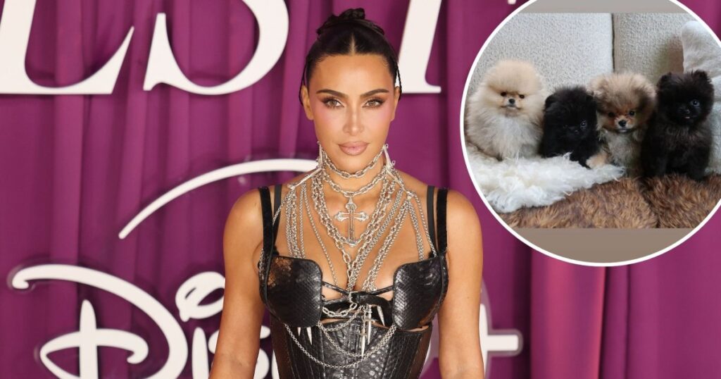 Kim Kardashian Expands Her Family on Christmas Day With 4 New Puppies — 1 For Each of Her Kids