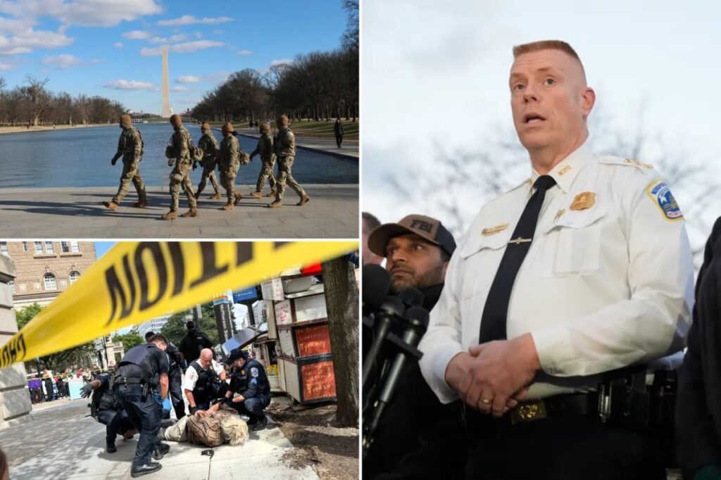 Jeffery Carroll named interim DC police chief days after scathing report claimed agency was fudging crime data