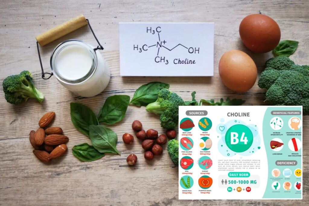 Scientists find key brain nutrient from everyday foods lacking in people with anxiety Scientists find key brain nutrient from everyday foods lacking in people with anxiety