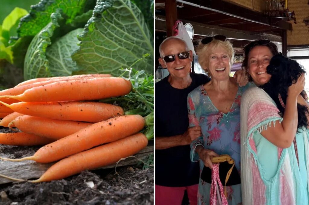 Family loses it over X-rated carrot meant to be cooked for Christmas dinner Family loses it over X-rated carrot meant to be cooked for Christmas dinner