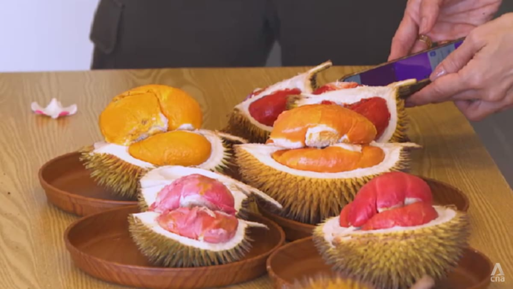 Less sugar, same punch? Sabah’s red durians take centre stage in tourism push