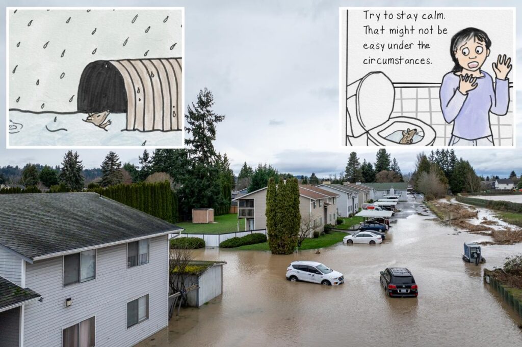 Cartoon PSA advises to flush rats if climbing up and invading toilets — and social media goes wild