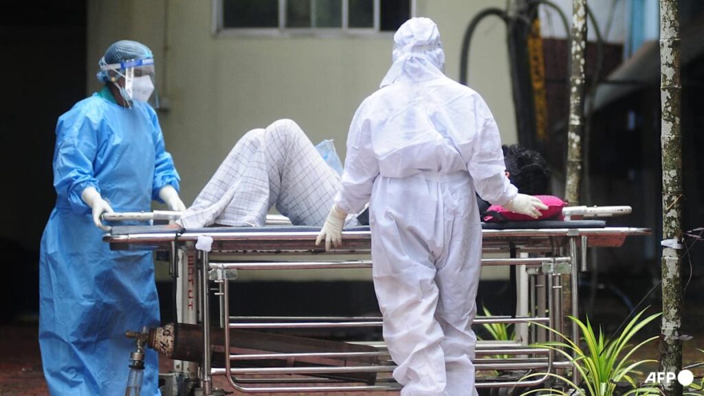 India confirms two Nipah virus cases, but situation contained India confirms two Nipah virus cases, but situation contained
