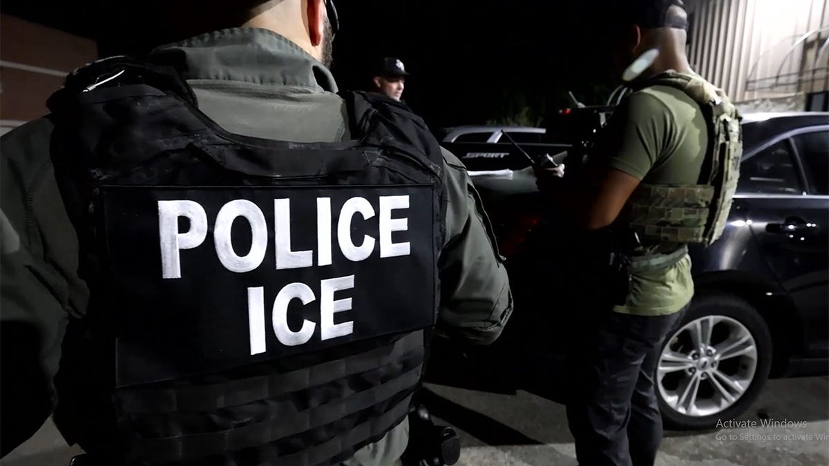 ICE agents