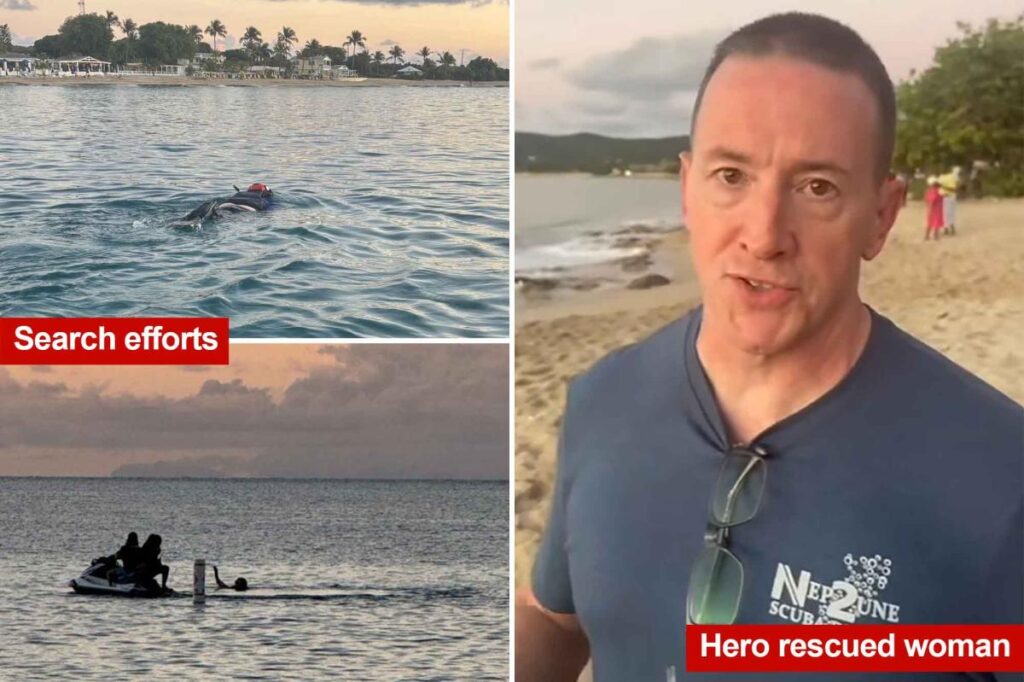 Woman killed after shark rips off her arm in US Virgin Islands: ‘Ungodly screaming’