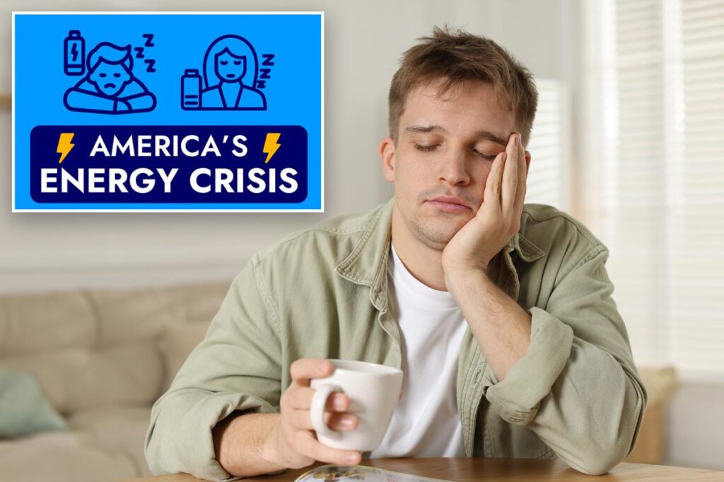 Here’s what Americans would do if given more energy: survey