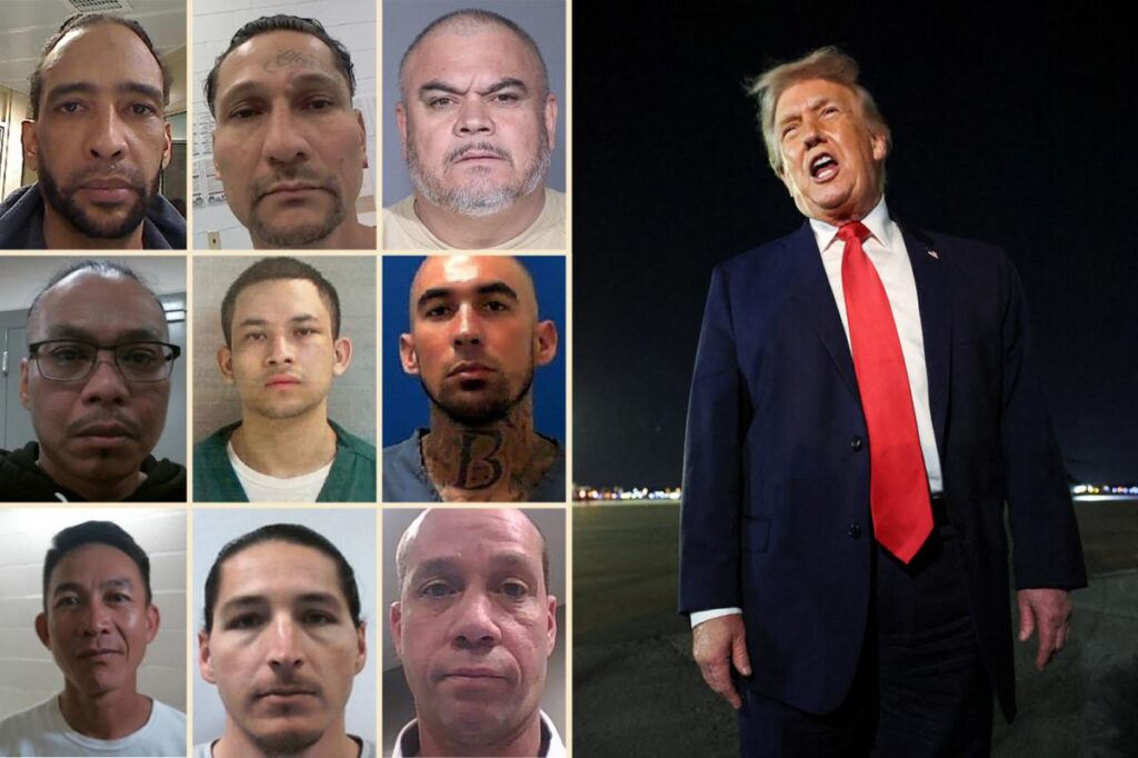 Exclusive | 7K illegal immigrant gang members busted in first year of Trump’s second term: ‘Make America safe again’